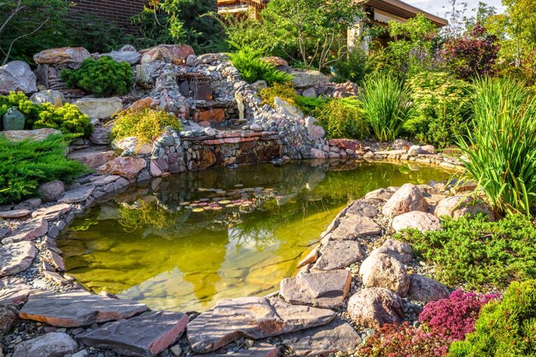 Hogh-Tech-Pond (1)