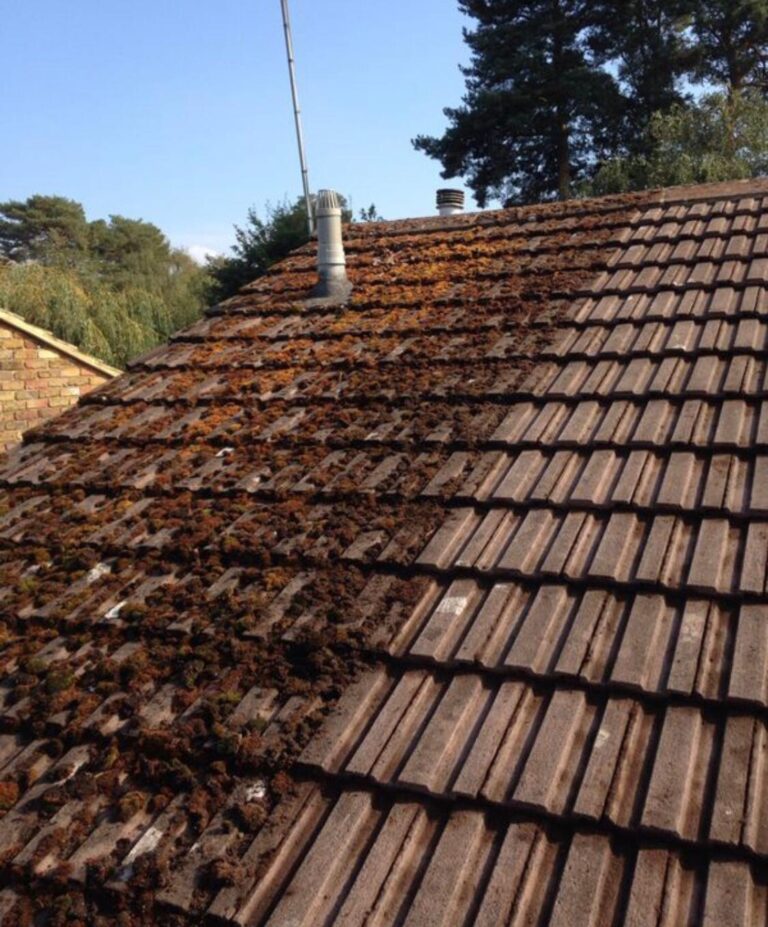 Hydroguard-Moss-Removal
